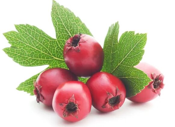 Cardiol contains hawthorn fruit extract